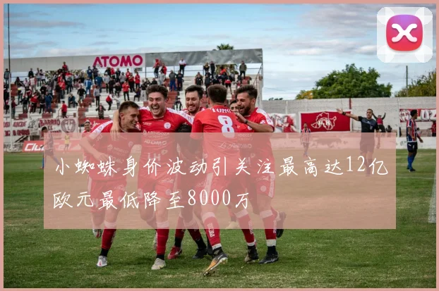 小蜘蛛身价波动引关注最高达12亿欧元最低降至8000万